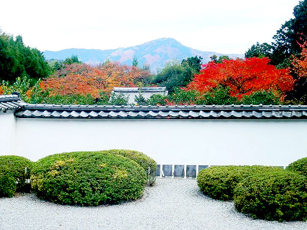 【西賀茂】紅葉の洛北・名刹めぐり、比叡山を望む借景庭園へ～吉村のベストビュー！神光院から正伝寺、大将軍神社まで～