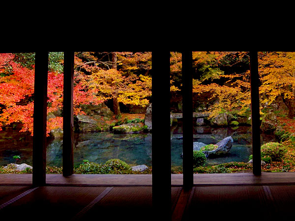 【三宅八幡】上高野・穴場の紅葉めぐり、静けさに包まれる紅葉絵巻～額縁庭園の蓮華寺、神鳩が迎える三宅八幡宮、知る人ぞ知る三明院～