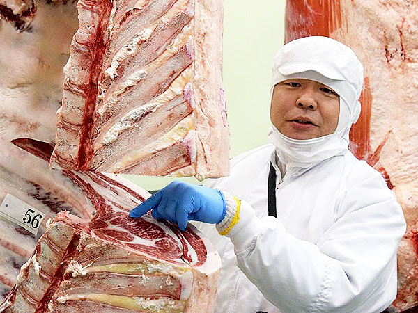 【中央食肉市場】新オープン！お肉博士と、食肉市場を探検しよう～模擬せり体験、お肉の見分け方レクチャー、生きた牛が食肉になるまで～