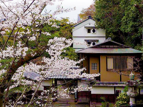 【祇園・円山】タモリさんを案内したガイドと、祇園円山凸凹ツアー！～斜面地形が生んだプレイランド、大歓楽地はモダン京都の都市公園へ～