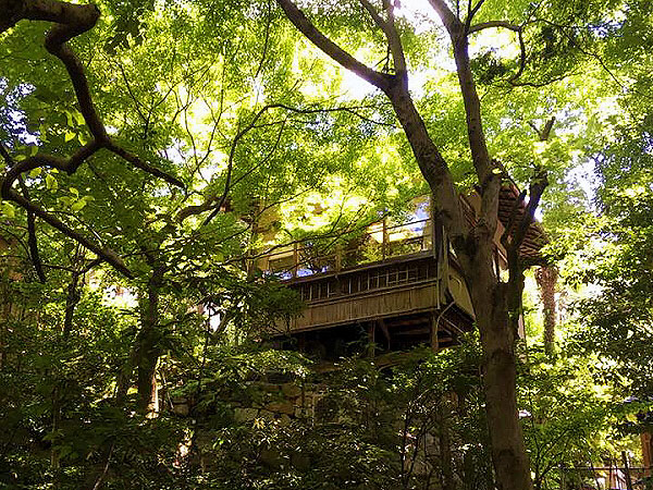 【祇園・円山】タモリさんを案内したガイドと、祇園円山凸凹ツアー！～斜面地形が生んだプレイランド、大歓楽地はモダン京都の都市公園へ～