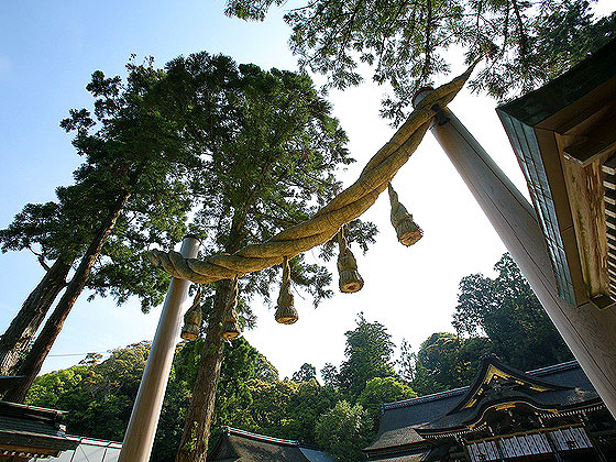 【三輪明神】「日本最古の神社」に初詣！ヤマト王権の聖地・原始神道の姿～つくられた“禁足地”！？大鳥居、隔夜法師、宿場町…地形が生んだ信仰の交差点～