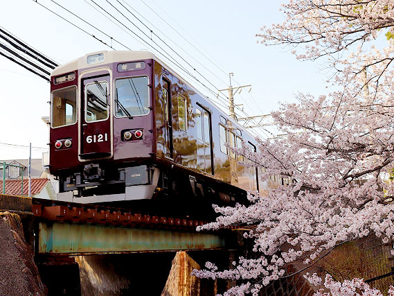 【夙川】桜咲く阪神間モダニズム、阪急VS阪神！激闘の舞台を巡る～鉄道が生んだ六甲山麓の豪邸街、甲陽園・苦楽園・香櫨園へ～