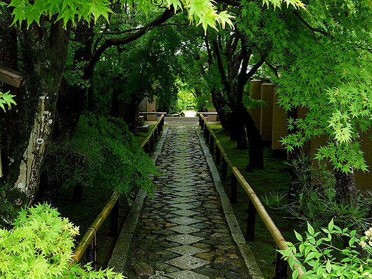 ※中止【鷹ヶ峯】本阿弥光悦が築いた芸術の拠点、洛北に花開いた光悦村へ～光悦寺、常照寺、岩戸妙見…鷹ヶ峯・春の名刹めぐり～