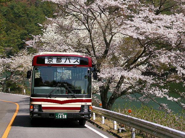 ※中止【京都バス】バスマニア研究者と「幻の路線」貸切バスツアー！桜咲く西山ドライブウエイ～年に一度の90号系統！戦前ドライブウェイ計画と遊覧都市、絶景の展望台まで～