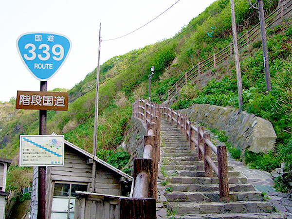 【ライブ配信】どぼく愛が止まらない！「道っちゃん」入門、工学博士の白熱教室～国道、酷道、極道も！？階段から海の上まで、世界のオモシロ道路尽くし～