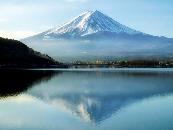 【ライブ配信】オンラインだョ、全員集合！森の案内人と、日本全国バーチャル聖地巡礼～恐山から出雲大社、琉球の御嶽まで、世界に比類なき“木の信仰”を解き明かす～