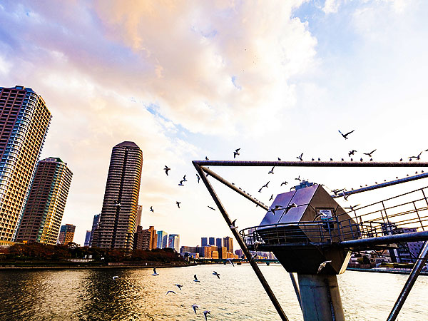 【江戸湊】境界協会トワイライトツアー！江戸湾の島々を、境界と地形で解き明かせ～日本橋区VS京橋区！水準測量の原点、人と自然が織り成す島々のストーリー～