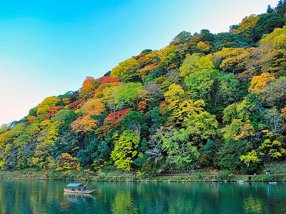 【嵐山】庭師とめぐる秋の嵐山、天龍寺十境・夢窓国師の庭園観～秋風そよぐ天下の絶景、曹源池庭園から嵐峡の大パノラマまで～