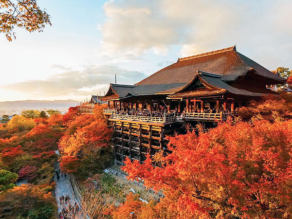 【清水寺】梅林崖長といく崖の上の観音霊場、清水寺凸凹ツアー！～“清水の舞台”はどうできた！？建築・仏像・地形まで味わい尽くす～