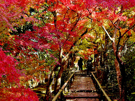 【鷹ヶ峯】本阿弥光悦が築いた芸術の拠点、洛北に花開いた光悦村へ～光悦寺、常照寺、岩戸妙見…鷹ヶ峯・秋の名刹めぐり～