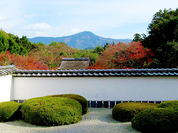 【西賀茂】紅葉の洛北・名刹めぐり、比叡山を望む借景庭園へ～吉村のベストビュー！神光院から正伝寺、大将軍神社まで～