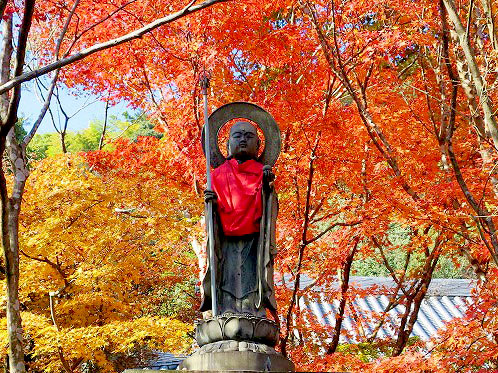 【八幡】紅葉の隠れ古寺と神仏習合の古仏たち、ゆるり八幡さんぽ～石清水八幡宮のご本尊！？深紅に染まる紅葉寺、落書き大歓迎のお寺まで～