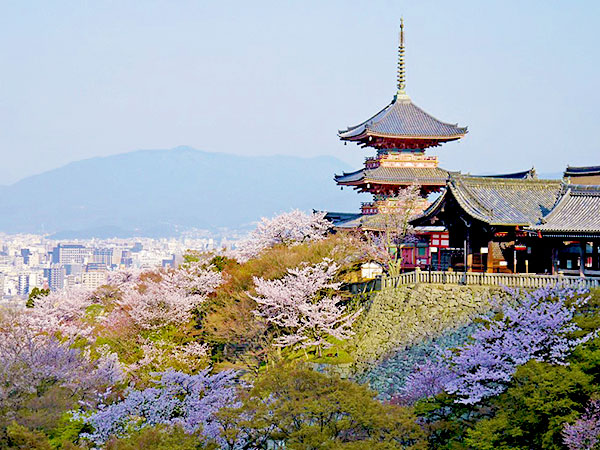 【清水寺】タモリさんを案内したガイドと、生と死が交わる清水の地へ～半世紀ぶり新たな姿の本堂へ！観音様が座す地形、断層がつくる京都の世界観～