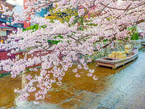 【鴨川】発見、最古の鴨川管理マニュアル！研究者と、京都を運命づけた鴨川をいく～水の神様、貴族の井戸、運河の庭園…水が分かれば、京都が分かる～