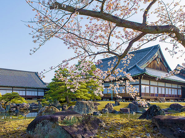 【見逃し配信】千田先生と桜咲く二条城へ！非公開エリア徹底潜入オンラインツアー～巨大櫓門・鉄砲倉・御清所…誰も見たことのない障壁画！城郭史の到達点を目撃せよ～