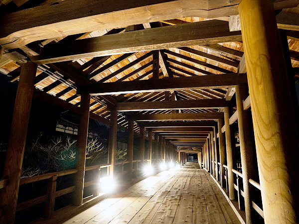 【東福寺】一夜限り貸切拝観、光に包まれる青もみじの雲海と禅宗伽藍をいく～夜の龍吟庵・方丈庭園を拝見、幻想の通天橋を越え、秘められた静寂の別世界へ～