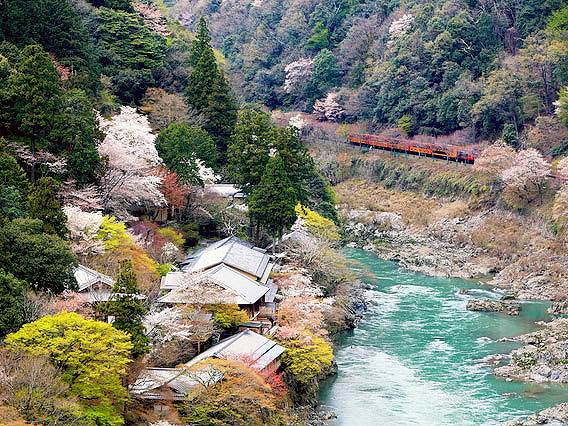 【嵐山】庭師とめぐる桜の嵐山、天龍寺十境・夢窓国師の庭園観～春の花まさに百花繚乱、曹源池庭園から嵐峡の大パノラマまで～