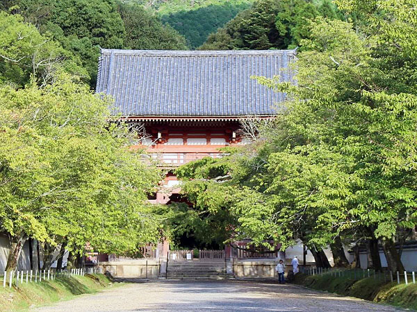 【醍醐】歴史研究者とたどる源平合戦・涙の舞台、平家物語と祈りの空間～諸行無常の響きあり…平重衡最期の別れ、頼政道から重源幻の寺まで～