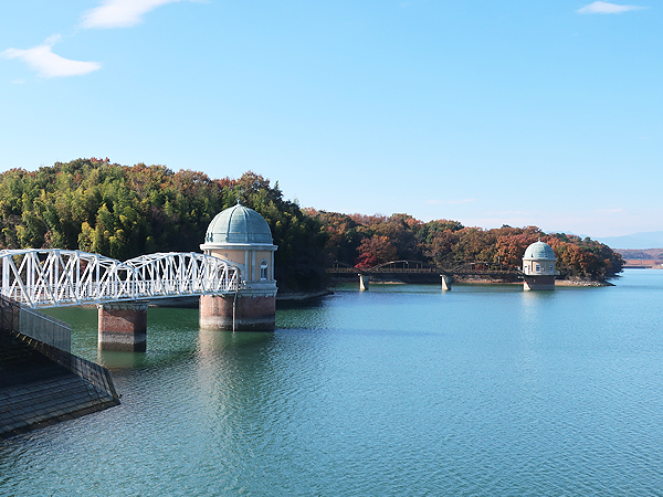 【東村山】トトロの森はなぜできた！？多摩武蔵野スリバチ学会凹凸ツアー～東京に浮かぶ緑の島へ！日本一美しい取水塔、志村けんさんの故郷まで～