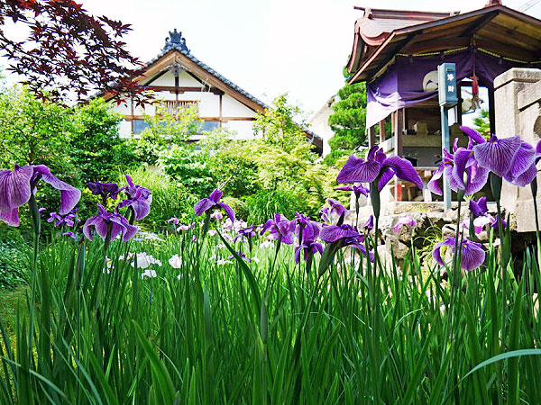 【西賀茂】地形でたどる古代の信仰、新緑の洛北・穴場の古刹めぐり～ガイド宅に平安京の瓦！なぜ鷹ヶ峯に賀茂川の石が！？泉湧く神聖な台地へ～