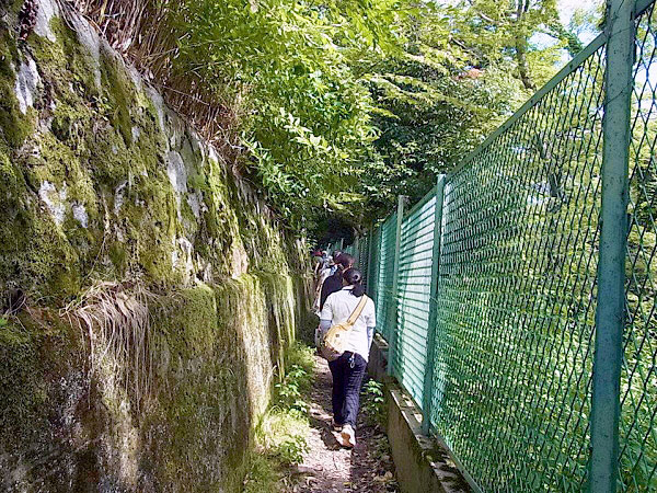 【御土居・北野編】梅林崖長と御土居でOh！天下人が築いた巨大土塁を追う～北野天満宮から断崖絶壁の紙屋川公園まで、京都高低差崖会凸凹ツアー～