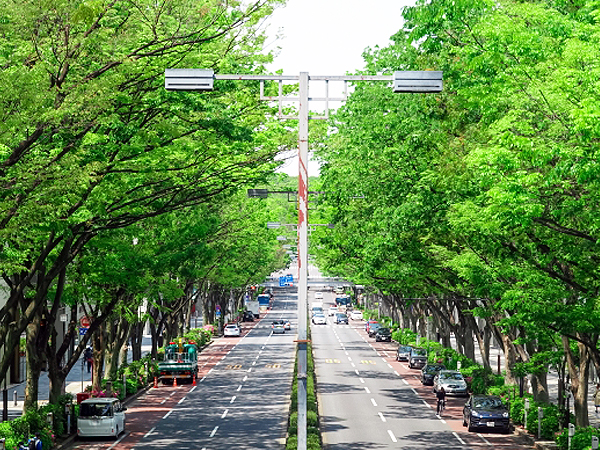 【表参道】世界的建築家の傑作集う聖地へ！都市史研究者と建築＆坂道めぐり～竹下通りは谷だった！？渋谷川の暗渠からプラダ青山、表参道ヒルズまで～