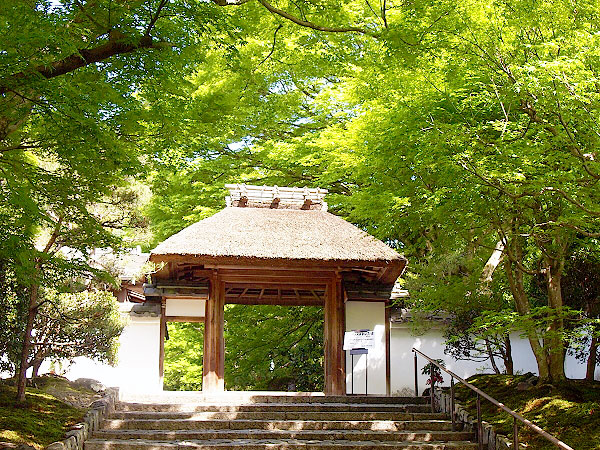 【哲学の道】新緑きらめく散歩道、岡崎神社から安楽寺の特別公開まで～兎・ねずみ・猿…可愛い神使の社寺めぐり、疏水べりの小径をいく～