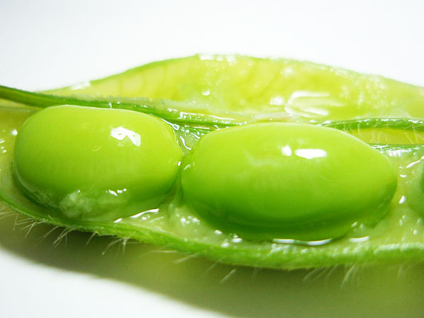 【八尾枝豆】大阪生まれの極旨枝豆！枝豆マイスターと、採れたて茹でたて舌つづみ～甘くて濃厚☆G20夕食会で絶賛された畑のエメラルド、お土産付き～