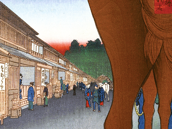 【新宿】境界協会といく！“新しい宿場”を、境界と地形で解き明かせ～山手線内の最高峰へ！独特な町割り、巨大繁華街を分断した区界の謎～