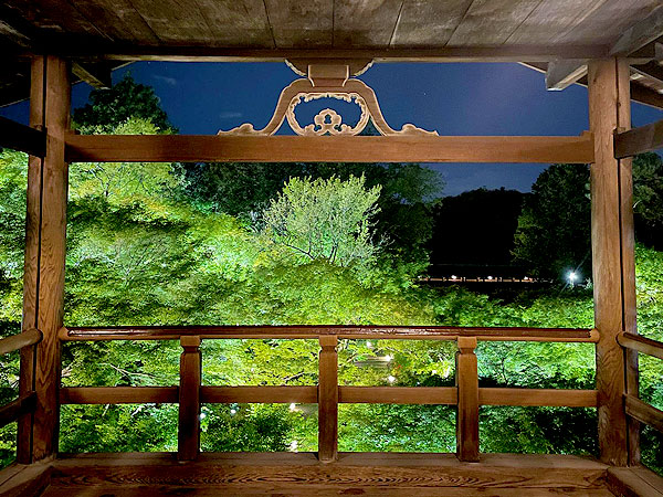 【東福寺】一夜限り貸切拝観、光に包まれる青もみじの雲海と禅宗伽藍をいく～夜の龍吟庵・方丈庭園を拝見、幻想の通天橋を越え、秘められた静寂の別世界へ～