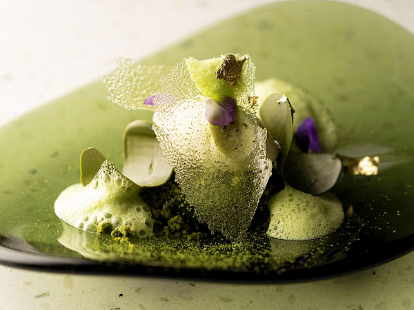 【日本茶サロン】茶農家がもてなすお茶尽くしサロン、絶品抹茶デセールに舌つづみ～濃厚抹茶ソフト、たべる碾茶、銘柄茶飲み比べ…茶どころ南山城の本気を体感せよ～