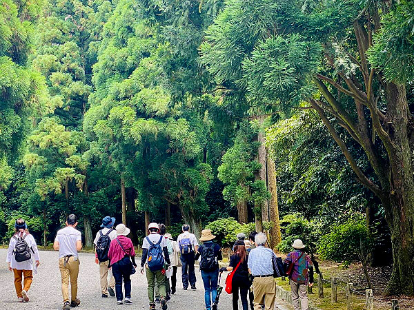 【伏見桃山】森の案内人といく御陵の杜、近代日本の大君主が眠る巨大プロジェクト～天下人の巨城は、大自然のサンクチュアリへ！御香宮から乃木神社を越えて～