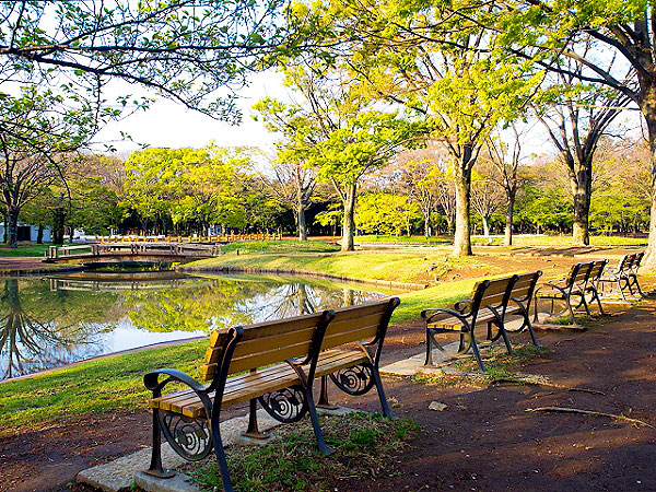 【代々木公園】森の案内人と東京アースダイビング！都会の森林公園から縄文の森へ～1964五輪がまいた森の種！？今も遺るワシントンハイツ、縄文海進の痕跡まで～