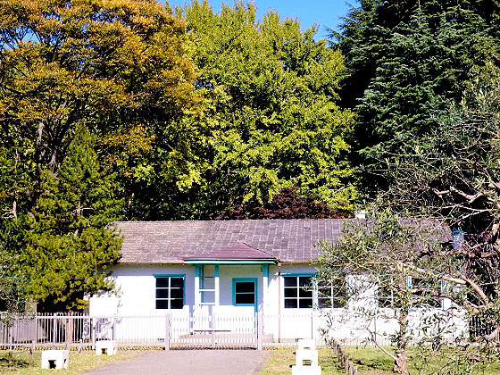 【代々木公園】森の案内人と東京アースダイビング！都会の森林公園から縄文の森へ～1964五輪がまいた森の種！？今も遺るワシントンハイツ、縄文海進の痕跡まで～