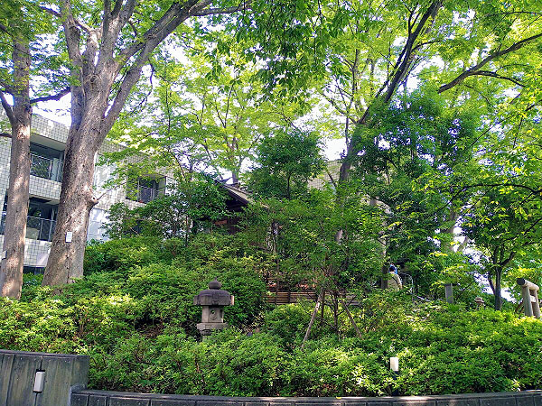 【代官山】古墳部スソさんと、オシャレな街の古墳へGo！古墳にのぼる大冒険～傑作モダン建築に古墳！？縄文時代の集落跡、出土品を特別に拝見～