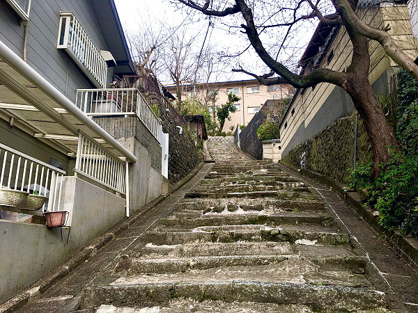 【花折断層】気象予報士とたどる、住宅地に潜む花折断層～かつての巨大地震が生んだ断崖絶壁！京都の災害史を歩く～