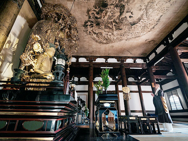 【金戒光明寺】本山僧侶と特別拝観！非公開の巨大山門、御影堂内陣、大方丈まで～運慶の文殊五尊、アフロ仏、襖絵の仕掛け…山門の上に広がる圧巻の浄土～