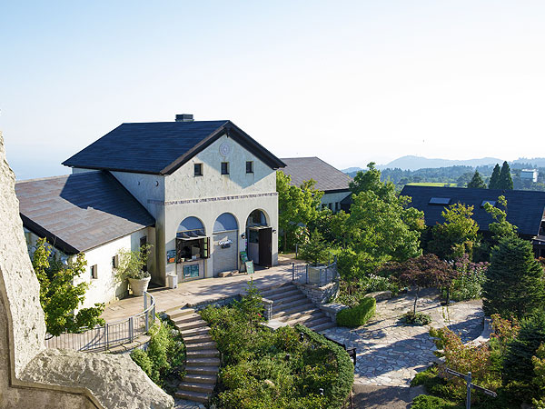 【六甲】森の案内人と秋色トレッキング！港町を望む絶景ガーデンから有馬温泉まで～六甲変動100万年の大自然！奇岩連なる太古の磐座、「森の母」に会いにいこう～