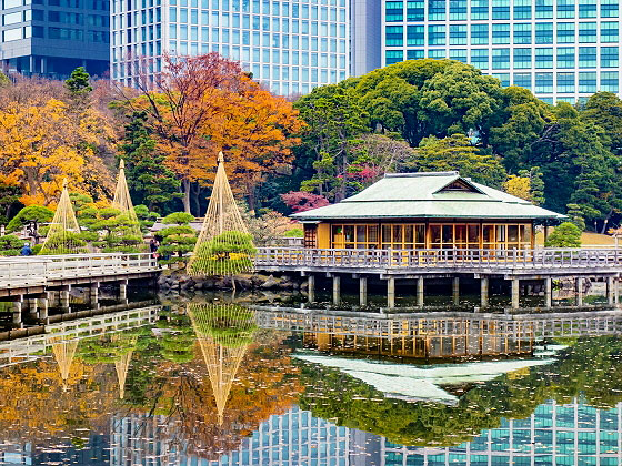 【浜離宮・芝離宮】庭師といく2つの汐入庭園、将軍が暮らした海際の別邸～太古から生き残った巨樹、水上の茶室、潮の満ち引きに変化する海岸の庭園美～