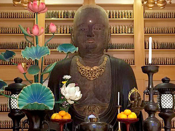 【日野】仏像ナビゲーターと巨大平安仏たち特別拝観！王朝貴族の別荘地へ～定朝スタイル国宝阿弥陀、愛嬌たっぷり色白地蔵、法界寺から恵福寺まで～