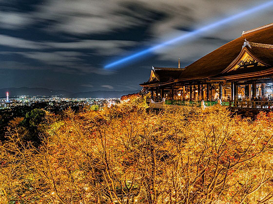 【夜の清水寺】慈悲の光射す錦秋の夜☆仏像ナビゲーターと菩薩ワンダーランドへ～清水式観音、甲冑姿の勝軍地蔵、ガングロ出世大黒天…じっくりご利益めぐり～