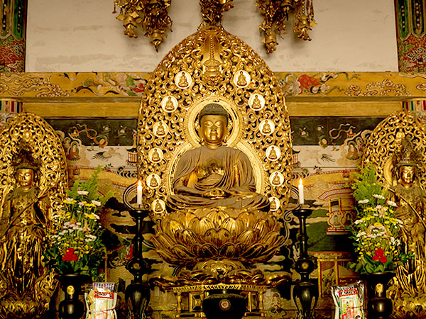 【仁和寺】建築目線で特別拝観！非公開エリア、金堂・遼廓亭・経蔵まで～和とアールヌーヴォーの華麗な融合、亀岡末吉ワールドから光琳の茶室まで～