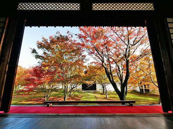 【寺之内】千家、織部、光悦、等伯…美を愛する数寄者たち、6の古寺巡礼～茶道文化の中心地へ！信長の定宿・妙覚寺、秋めく庭園を特別拝観～