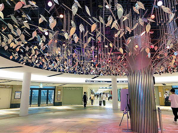 【梅田地下街】名物ガイドたけちゃん面白ツアー！大阪駅と梅田ダンジョンへ～謎の番号、オモロい時計、地盤沈下の階段！？大阪駅には「仕掛け」がいっぱい～