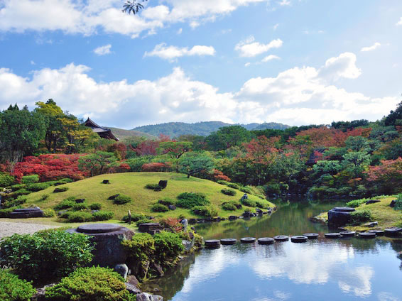 【奈良公園】庭師といく至高の名庭・依水園、興福寺から春日大社、東大寺へ～世界遺産を借景に取り入れる圧巻のスケール！シカが遊ぶ巨樹の森まで～