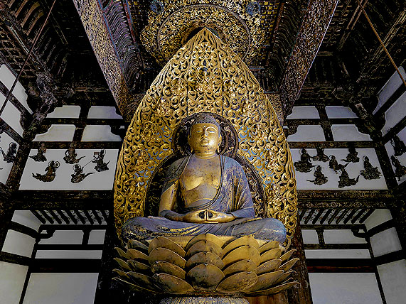 【平等院】タモリさんを案内した研究者と平等院へ！通常非公開・養林庵書院を拝見～地形が生んだ信仰の空間、王朝貴族が築いた圧巻の建築・仏像・庭園めぐり～