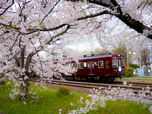 【阪急電車】幻の名古屋線！？京都と名古屋を結ぶ、壮大な挑戦をたどる～西日本初の地下鉄道、今も残る未成線の痕跡、昭和モダンな田園都市まで～