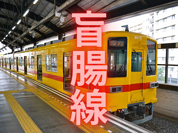 【盲腸線3部作】境界協会と「盲腸線」先っぽの街へ！境界と地形で解き明かせ～ナゾの終端駅には何がある！？線路の行き止まり、3つの街を制覇せよ～