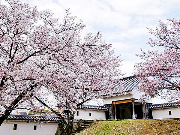 【勝龍寺城】梅林崖長と「勝龍寺城」凸凹ツアー！織豊系城郭の始まりを追う～城づくりの実験場！？天下統一の時代、明智光秀・最期の城～